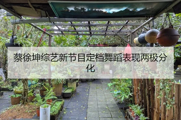 蔡徐坤综艺新节目定档舞蹈表现两极分化