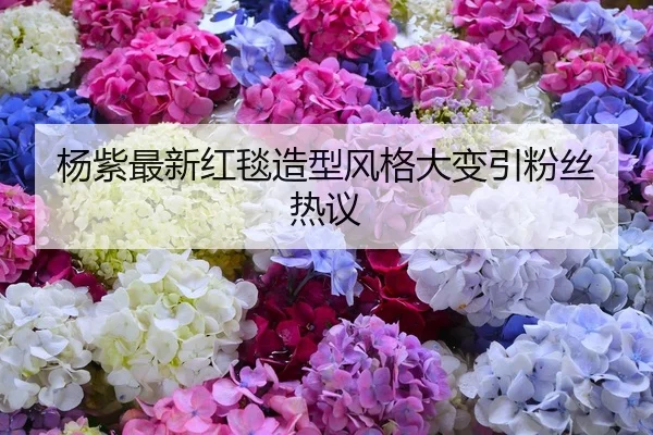 杨紫最新红毯造型风格大变引粉丝热议