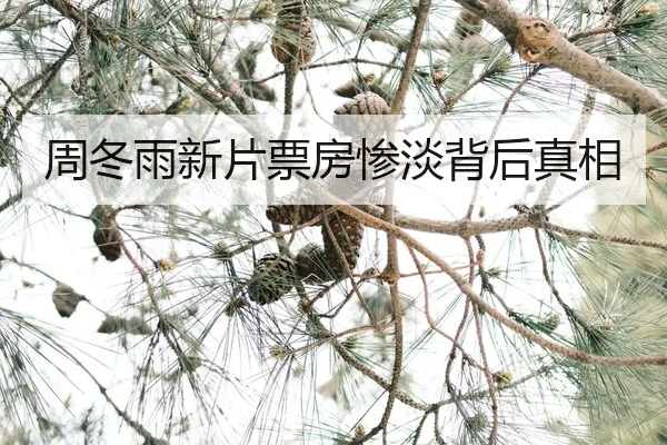 zhou-dong-yu-xin-pian-piao-fang-can-dan-bei-hou-zhen-xiang-2-617.jpg